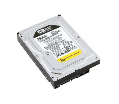 WD2503ABYX, жесткий диск