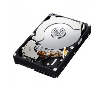 DSX-WDTK8-12TB, жесткий диск